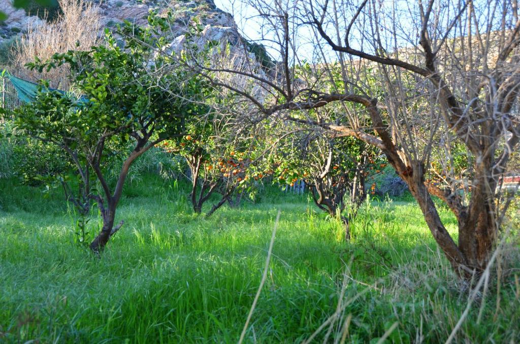 Apartament George's Archangelos (Rhodes)